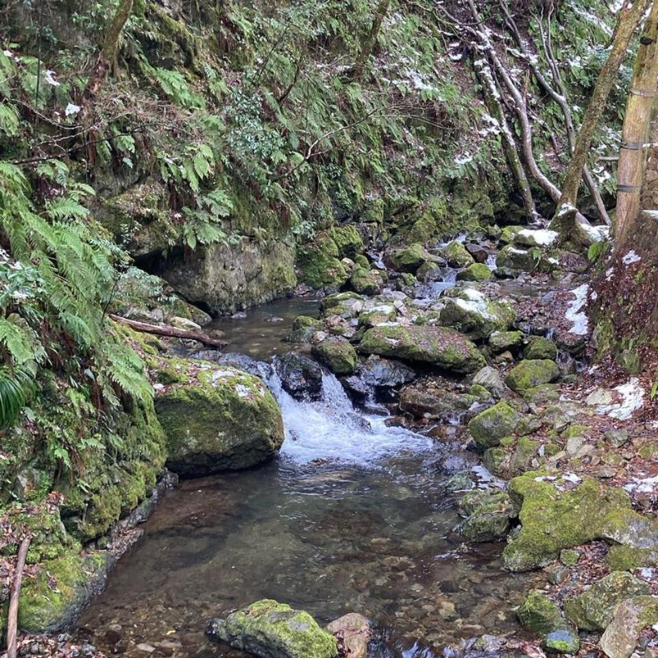 景色の画像