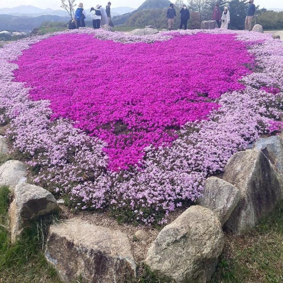 景色の画像